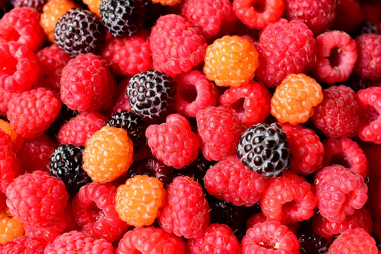 Raspberry Starter Collection 2 Full Color Sampler Pack Of 4 Quart 